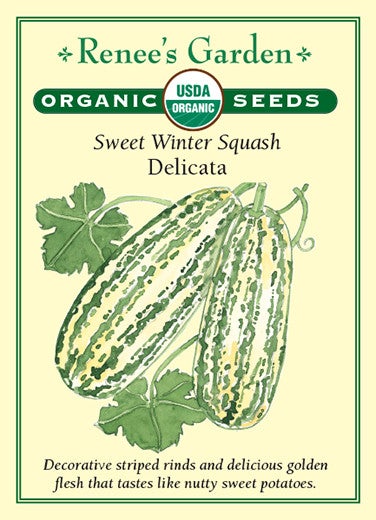 RG Squash Delicata Winter Organic